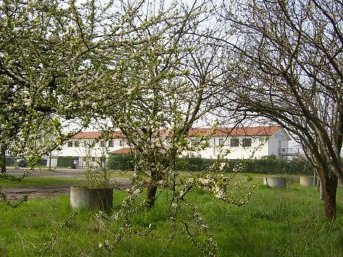 Hotel Lory Ficarolo Exteriör bild